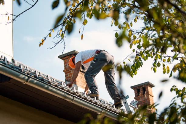 Best Metal Roofing Contractor  in Wickliffe, OH