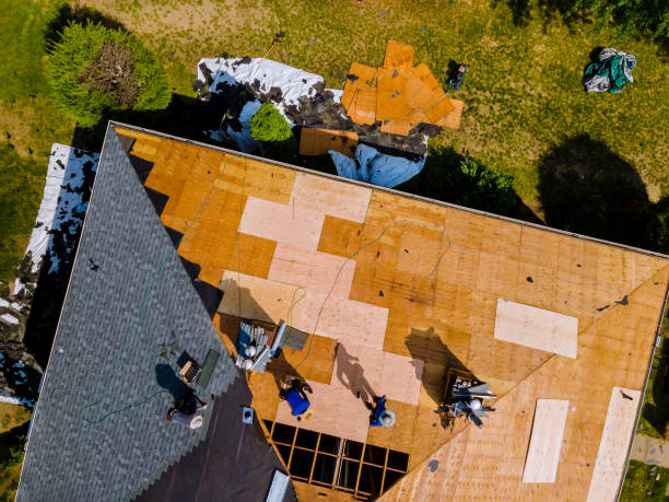 Best Storm Damage Roof Repair  in Wickliffe, OH